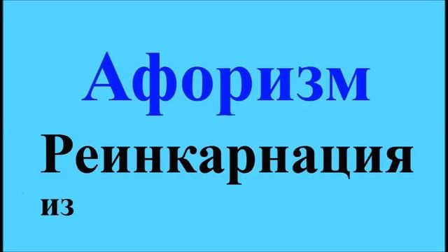 Реинкарнация из - афоризмы Максима Костенко, афоризм 27 смотреть онлайн