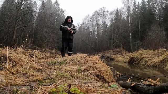 Поход по лесной речке с рыбалкой , Hiking Along A Forest River