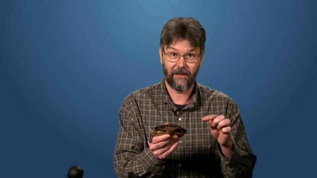 Turtles breathe underwater with Cloacal Respiration: A Moment in Science смотреть онлайн