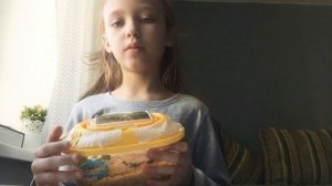 что нужно для улитки  🐌