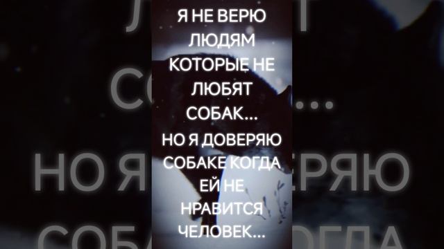 https://youtube.com/@yyuh-j9y?si=BdqrI1tqQKXZ8N67 смотреть онлайн
