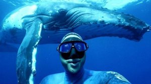 ПОДВОДНЫЙ МИР !!!