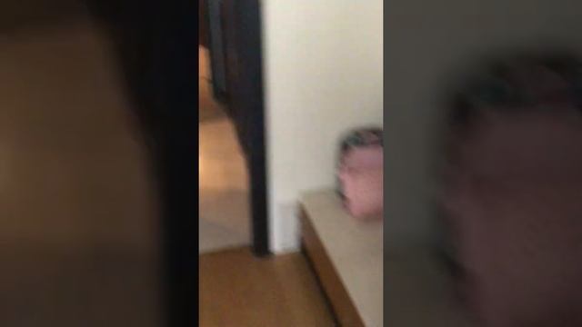 Sirene Belek Hotel. Обзор номера