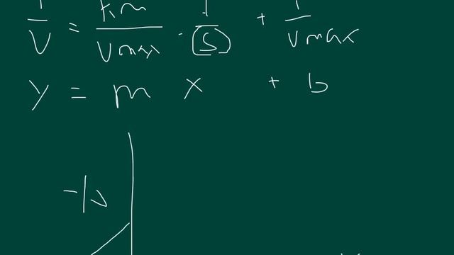 Enzyme Kinetics: Linweaver-Burk equation (double reciporical) смотреть онлайн