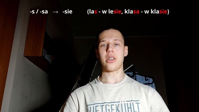Місцевий відмінок у польській мові смотреть онлайн