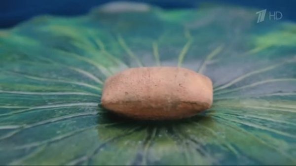 Реклама Dreamies | Дримис - Кот за них на всё готов!