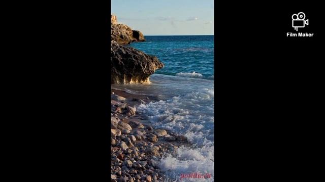 сказка про ракушку и улитку смотреть онлайн