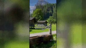 Best video of Tik Tok! 04.12.24 / 02