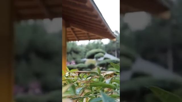 Из фильма «Русские• XXI век».18 смотреть онлайн