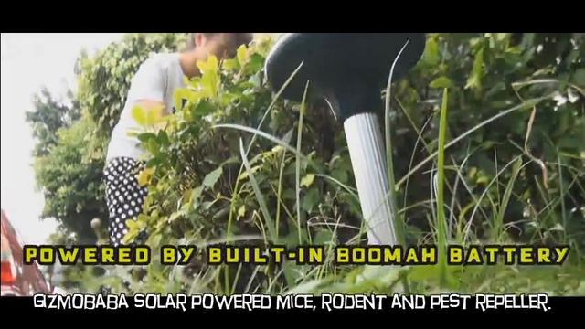 Gizmobaba Solar Powered Rodent, Mice And Pest Repeller