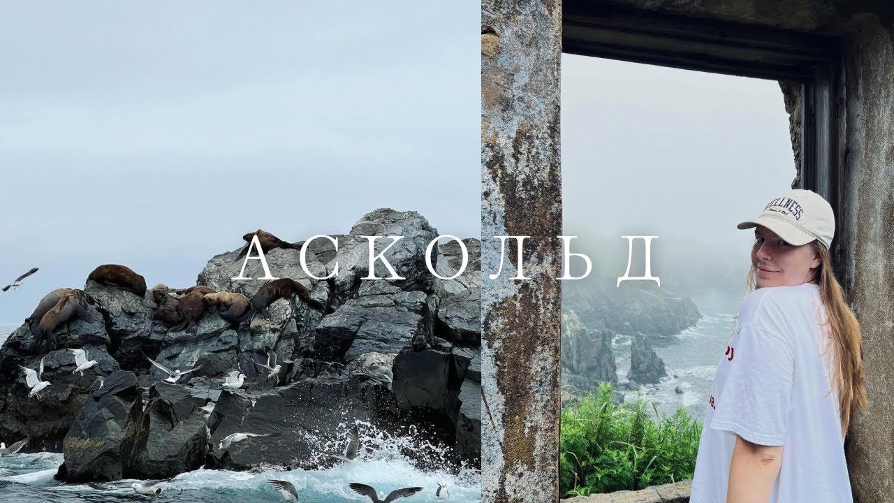 Путешествие на о. Аскольд ️ // Попали в дождь, но увидели морских котиков. смотреть онлайн