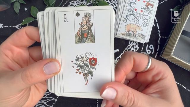 MAYBE Lenormand — обзор / Возможно Ленорман