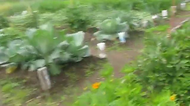 мой сад смотреть онлайн