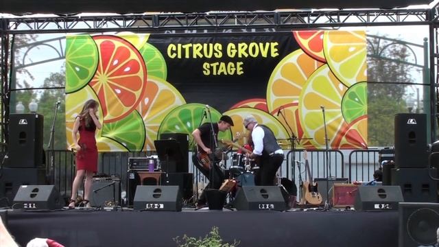 Hard Shine -Don't Owe You A Thing Hard Shine Live @ The Citrus Grove Blues Festival
