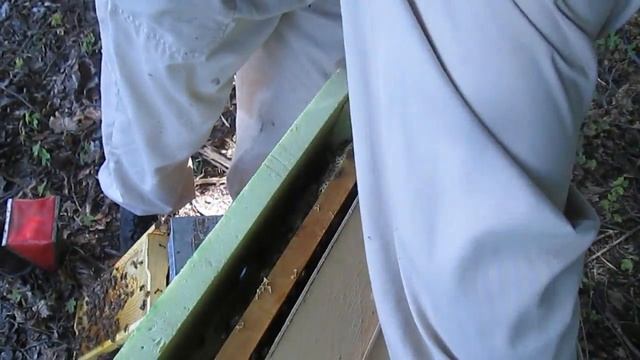 Нуклеус на полурамку