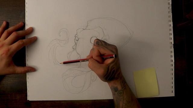 How to draw an Octopus смотреть онлайн