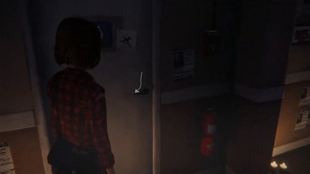 Life Is Strange ◉ Gameplay ITA ~ Walkthrough ◉ #FINALE [La Vita E' Strana...]