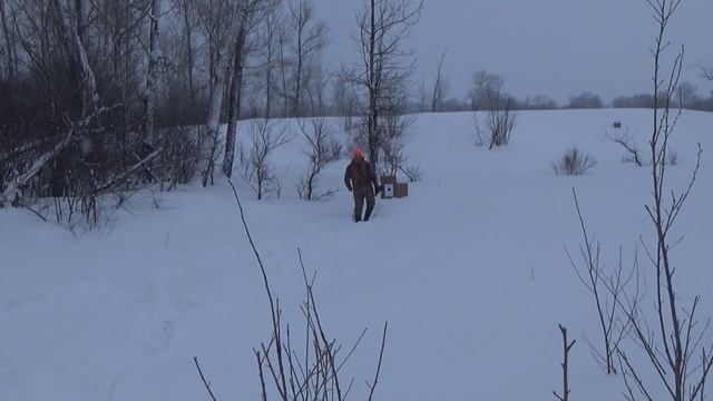 Коллиматор Nikko Stirling. Удар держит !!! Тестируем самокрутом! смотреть онлайн