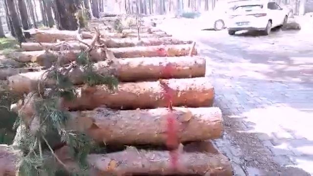 Влог_ Наш Пикник- как проходит Пикник в Турции✔️ Пикник в Турецких горах ✔️Турция смотреть онлайн