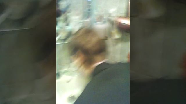 Научные нубы смотреть онлайн