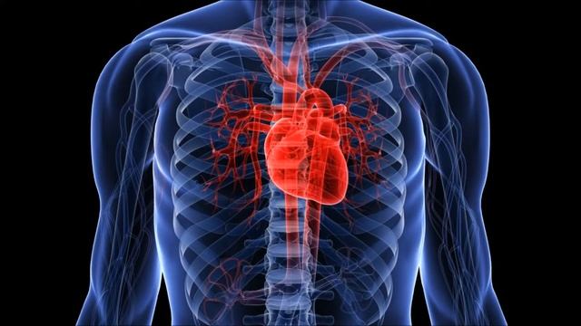 Kai Tracid & Yoda - Too Many Times - Oscilloscope Mix ❤️ смотреть онлайн