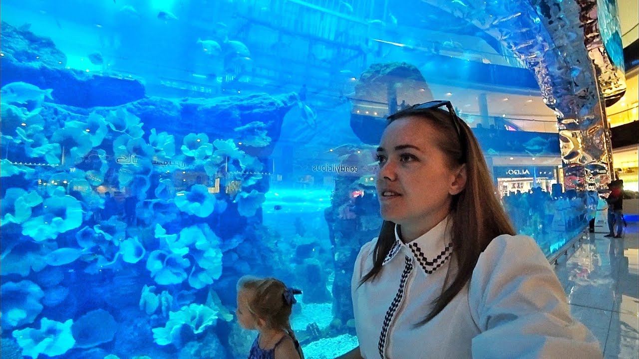 ВЛОГ ОАЭ Дубай. Dubai Mall Aquarium & Underwater Zoo 27.11.2017 смотреть онлайн