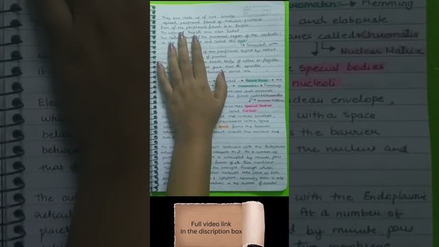 Centrosome And Centrioles // Class 11 Biology Notes