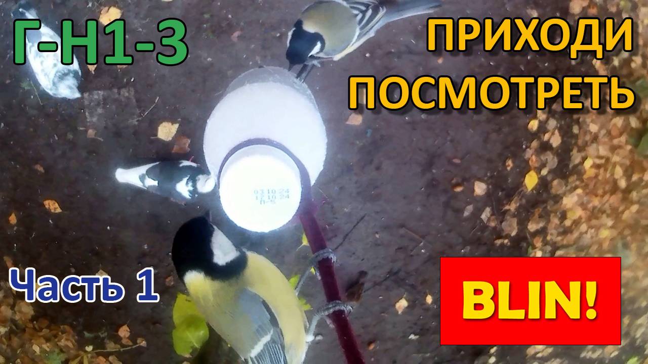 Г-Н1-3 - Приходи посмотреть
