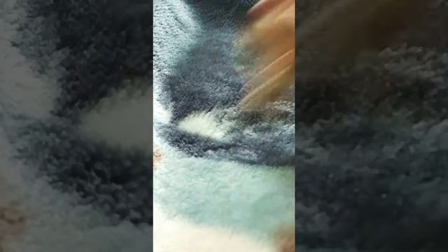 Распаковка ЛПС с Joom!!!!!!!!!!!!!!!!!!😍😍😍😍😆😆😆😆🤣🤣🤣😄😄😄😄😄😝🤤 смотреть онлайн