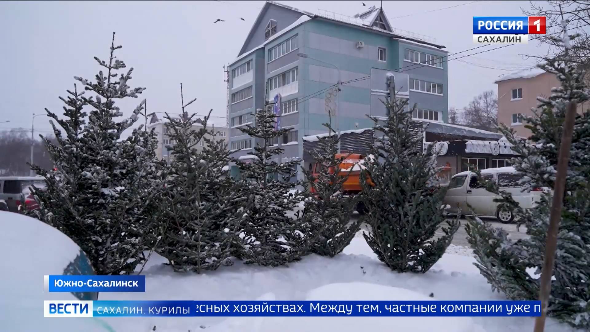 "Вести. Сахалин. Курилы". 3 декабря 2024 года смотреть онлайн