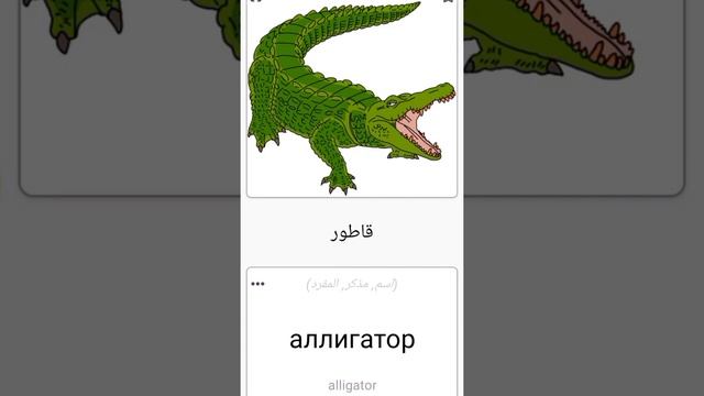 #русскийязык #تعلم_اللغة_الروسية (2) смотреть онлайн