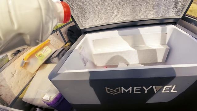 Попали на жор толстолоба смотреть онлайн