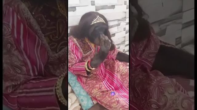 Студия Подгорного