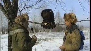 Ловчий беркут