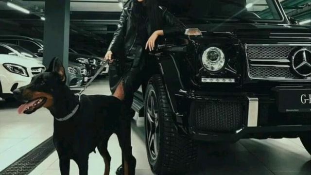 Вали вали на гелике🤟