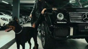 Вали вали на гелике🤟