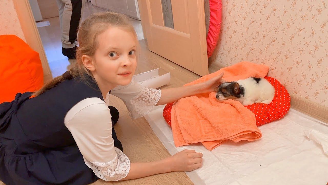 VLOG Маше подарили щенка! 5-7.12.21 смотреть онлайн