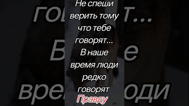 https://youtube.com/@yyuh-j9y?si=BdqrI1tqQKXZ8N67 смотреть онлайн