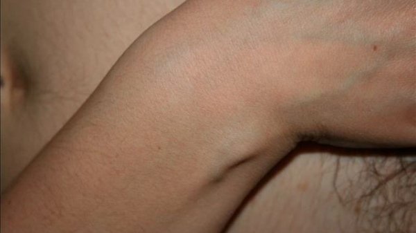 Manuel Ortega: "The moglie"