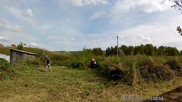 заказчик попросил скосить траву