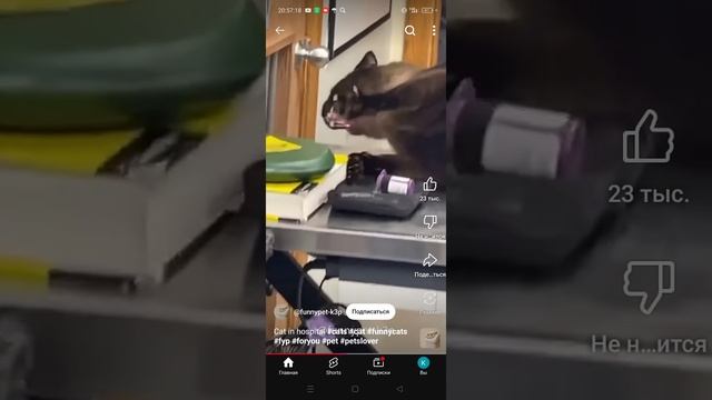 Теке теке Люся