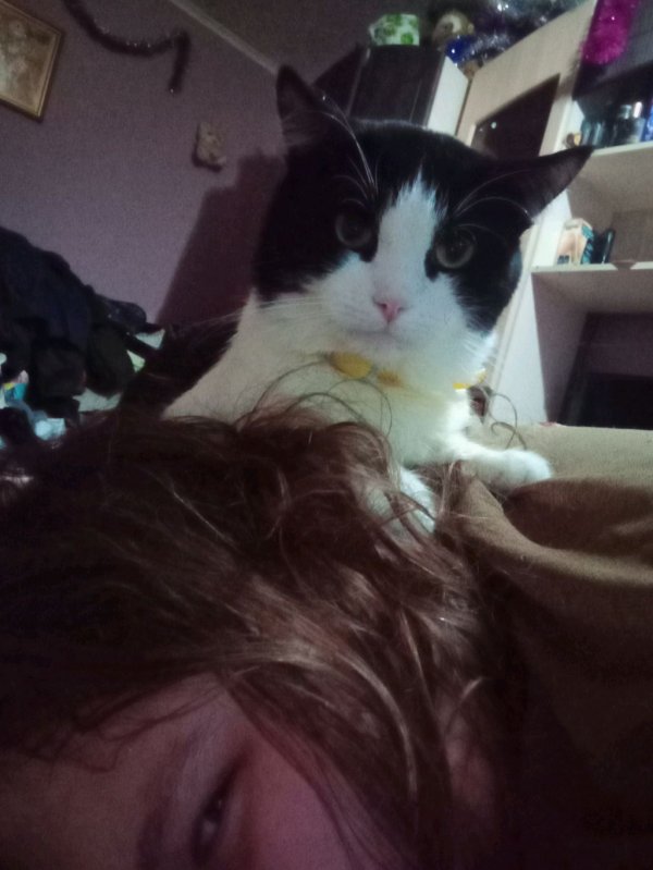 общение с подписчиками и гостями Rutube канала Rabbit2367