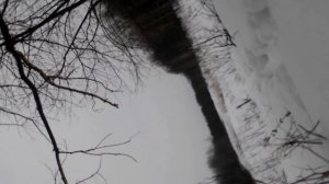 sabatti rover 870 308. 330 метров