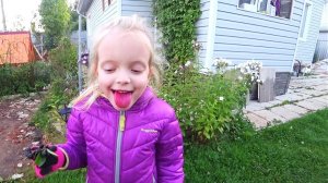 ВЛОГ С ДАЧИ | У Маши синий язык | Проблемы с КОЛОДЦЕМ | Шашлык из картошки 16.09.2017