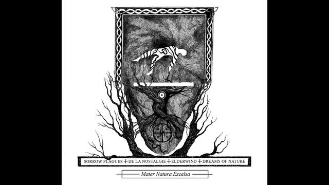 Atmospheric Black Metal Compilation vol 5 смотреть онлайн