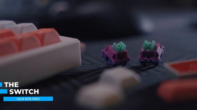 VGN X VXE Keyboards & Mice | Giant Killers?