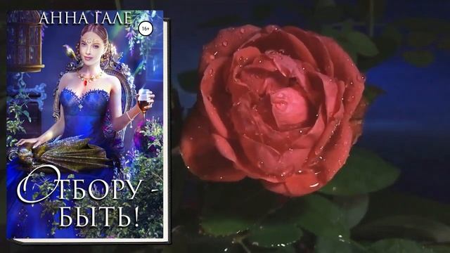 Отбору – быть! (Анна Гале) Аудиокнига смотреть онлайн