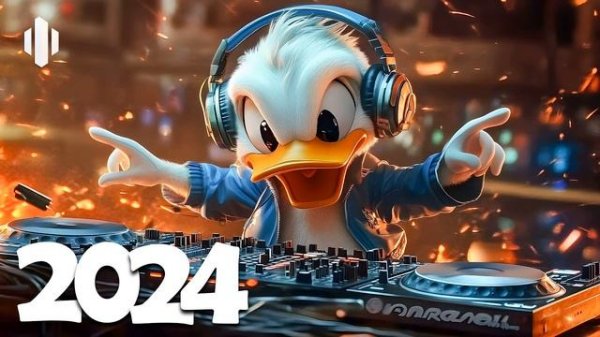 David Guetta live Tomorrowland 2024