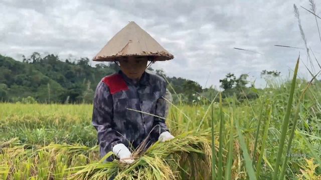 FULL VIDEO: Kind Engineer Helps Homeless Single Mother, Ly Cat Anh