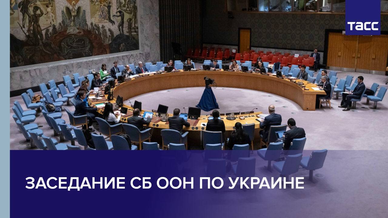 Заседание СБ ООН по Украине